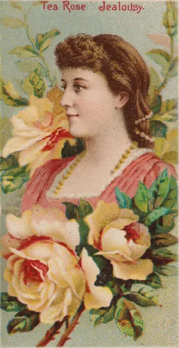 Framed Print : Tea Rose: Jealousy, from the series Floral Beauties and Language of Flowers (N75 Framed Print : Tea Rose: Jealousy, from the series Floral Beauties and Language of Flowers (N75