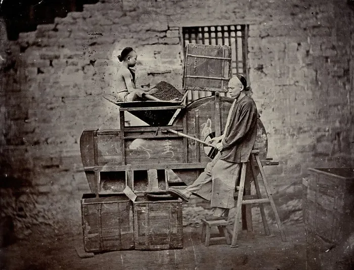 Framed Print : Tea sorting, end of 19th century. Creator: Nikolai Apollonovich Charushin Framed Print : Tea sorting, end of 19th century. Creator: Nikolai Apollonovich Charushin