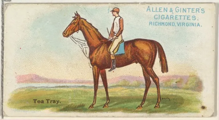 Framed Print : Tea Tray, from The Worlds Racers series (N32) for Allen & Ginter Cigarettes, 1888 Framed Print : Tea Tray, from The Worlds Racers series (N32) for Allen & Ginter Cigarettes, 1888