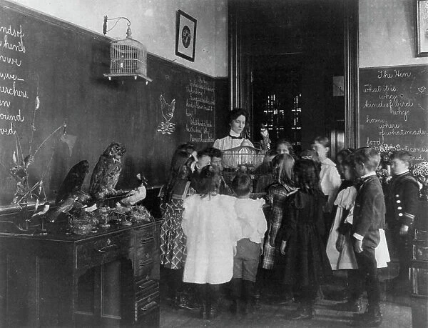Teacher and group of grade school children standing around bird cage and... Washington DC, (1899?). Creator: Frances Benjamin Johnston