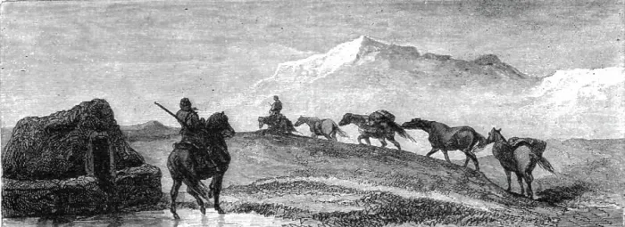 Framed Print : A team of Ponies; An Icelanders Notes on Iceland, 1875. Creator: Unknown Framed Print : A team of Ponies; An Icelanders Notes on Iceland, 1875. Creator: Unknown