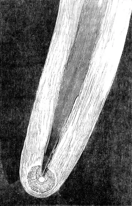 Framed Print : Telescopic Appearances of Donati's Comet, as seen from Slater's Observatory... 1858. Creator: Unknown Framed Print : Telescopic Appearances of Donati's Comet, as seen from Slater's Observatory... 1858. Creator: Unknown