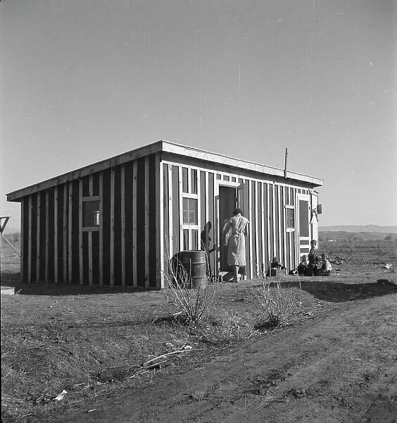 Temporary housing for the settlers, Bosque Farms project, New Mexico, 1935. Creator: Dorothea Lange