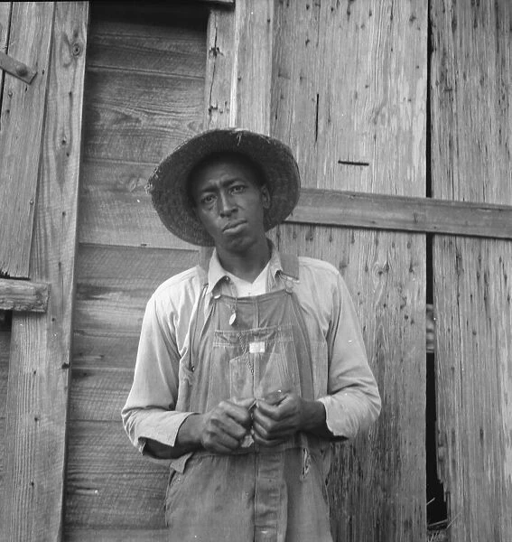 Tenant farmer, Chatham County, North Carolina, 1939. Creator: Dorothea Lange