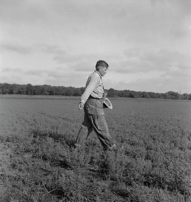 Framed Print : Tenant farmer spreading grasshopper bait... 5 miles from Oklahoma City, Oklahoma, 1937. Creator: Dorothea Lange Framed Print : Tenant farmer spreading grasshopper bait... 5 miles from Oklahoma City, Oklahoma, 1937. Creator: Dorothea Lange