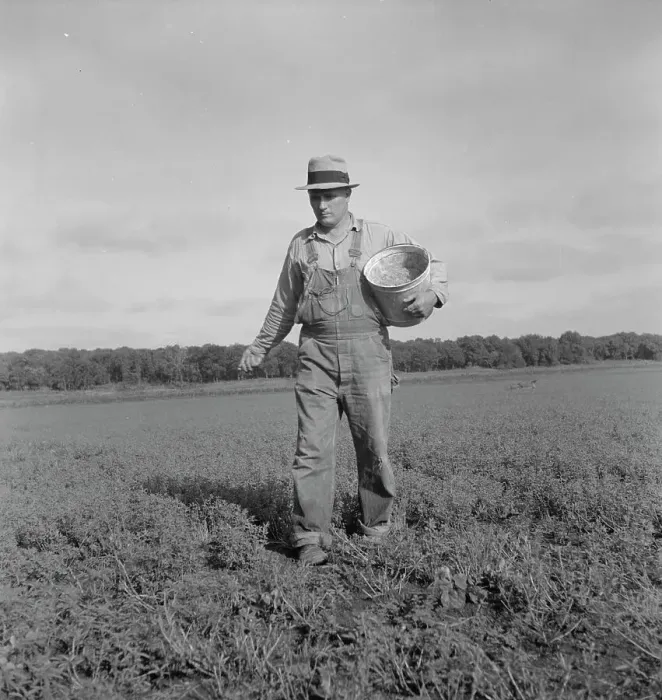 Framed Print : Tenant farmer spreading grasshopper bait, Oklahoma, 1937. Creator: Dorothea Lange Framed Print : Tenant farmer spreading grasshopper bait, Oklahoma, 1937. Creator: Dorothea Lange