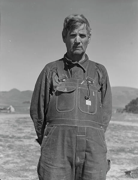 Former tenant farmer from Texas now working in California as a pea picker, Nipomo, California, 1937. Creator: Dorothea Lange