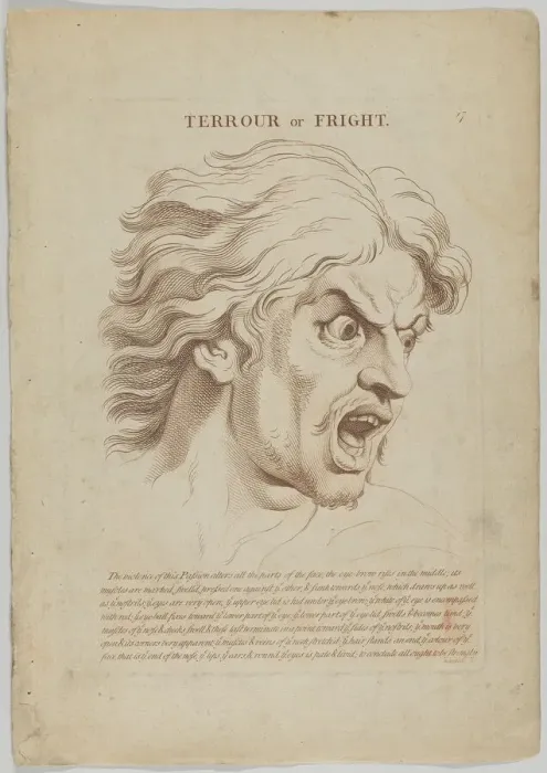 Framed Print : Terror or Fright (from Heads Representing the Various Passions of the Soul; as they are E... 1765. Creator: Anon) Framed Print : Terror or Fright (from Heads Representing the Various Passions of the Soul; as they are E... 1765. Creator: Anon)