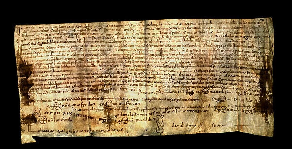 Testament of Arnulf, bishop of Vic, wounded in the expedition to Cordoba, parchment