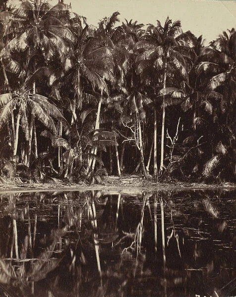 Tetiaroa - Un lagon des Paumotu, 1880s or 1890s. Creator: Charles Spitz
