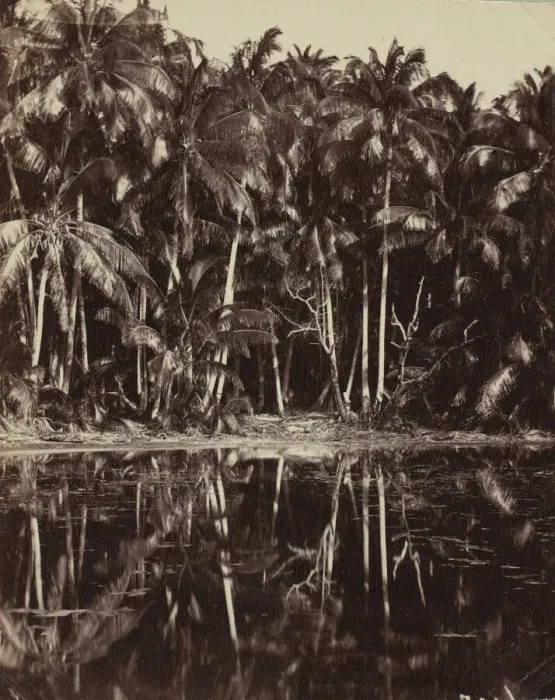Framed Print : Tetiaroa - Un lagon des Paumotu, 1880s or 1890s. Creator: Charles Spitz Framed Print : Tetiaroa - Un lagon des Paumotu, 1880s or 1890s. Creator: Charles Spitz