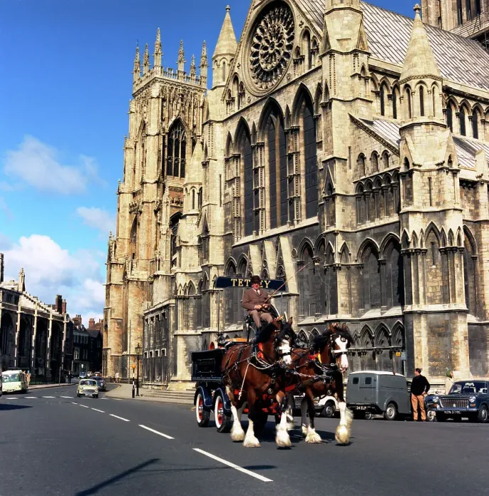 Framed Print : Tetley shire horses outside York Minster, North Yorkshire, 1969. Artist: Michael Walters Framed Print : Tetley shire horses outside York Minster, North Yorkshire, 1969. Artist: Michael Walters