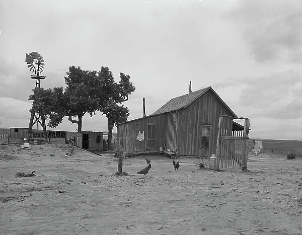 Texas tenant farmer's house, 1937. Creator: Dorothea Lange