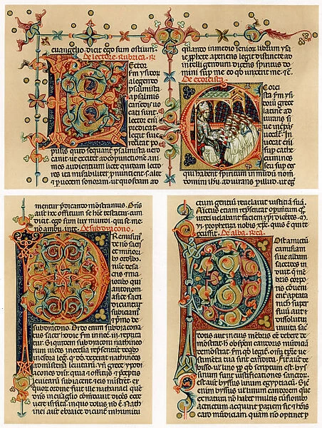 Text page with illuminated initial letters, 14th century