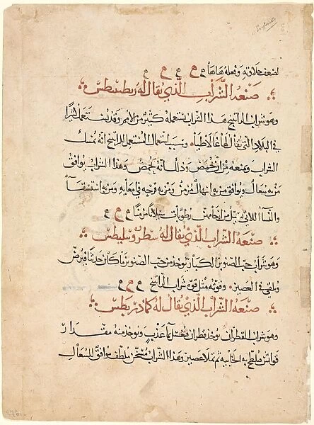 Text page from a Materia Medica of Dioscorides, c. 1224. Creator: Abdallah ibn al-Fadl (Iraq)