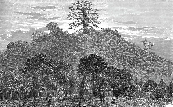 'The Baobab Tree of Kouroundingkoto; Journey from the Senegal to the Niger, 1875. Creator: Unknown