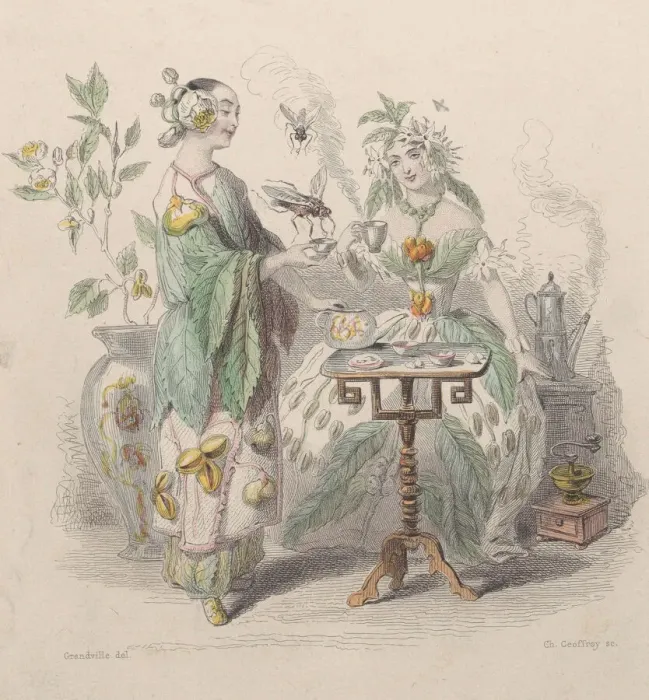 Framed Print : The& Cafe, from Les Fleurs Animees, 1847 Framed Print : The& Cafe, from Les Fleurs Animees, 1847