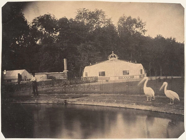 [The Pelicans and Greenhouses, Zoological Gardens, Brussels], 1854-56