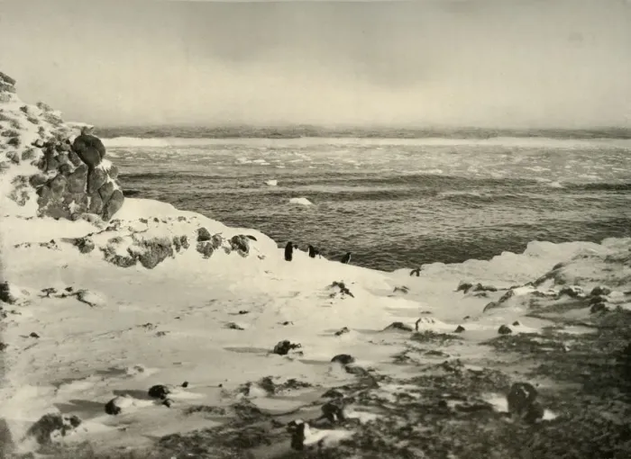 Framed Print : The Last of the Penguins Just Before Their Migration in March, c1908, (1909) Framed Print : The Last of the Penguins Just Before Their Migration in March, c1908, (1909)