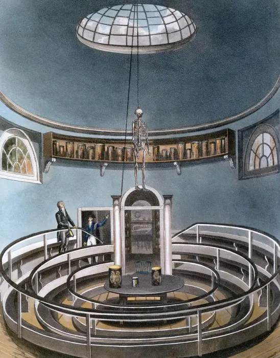 Framed Print : Theatre of Anatomy, Cambridge, 1815 Framed Print : Theatre of Anatomy, Cambridge, 1815