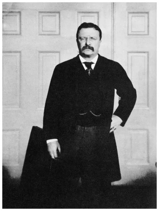 Framed Print : Theodore Roosevelt, 26th President of the United States, c1900s (1955) Framed Print : Theodore Roosevelt, 26th President of the United States, c1900s (1955)
