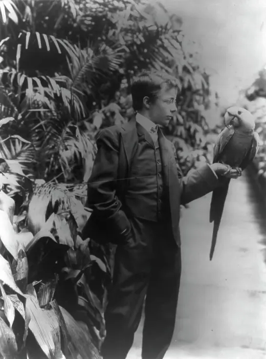 Framed Print : Theodore Roosevelt & Eli Yale blue macaw, c1902 June 17. Creator: Frances Benjamin Johnston. Theodore Roosevelt & Eli Yale blue macaw, c1902 June 17. Creator: Frances Benjamin Johnston Framed Print : Theodore Roosevelt & Eli Yale blue macaw, c1902 June 17. Creator: Frances Benjamin Johnston. Theodore Roosevelt & Eli Yale blue macaw, c1902 June 17. Creator: Frances Benjamin Johnston