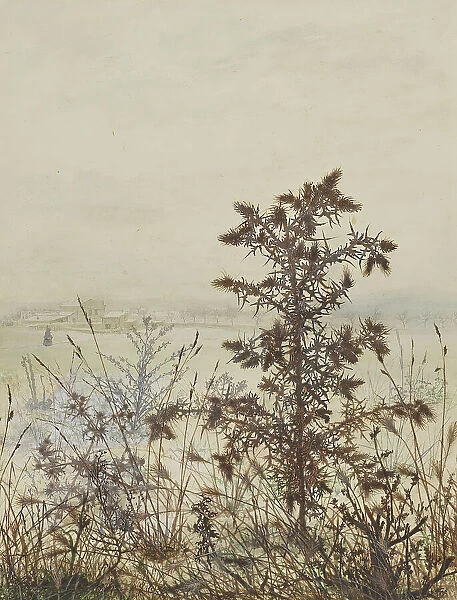Thistle in front of a Winter Landscape, 1864. Creator: Leon Bonvin