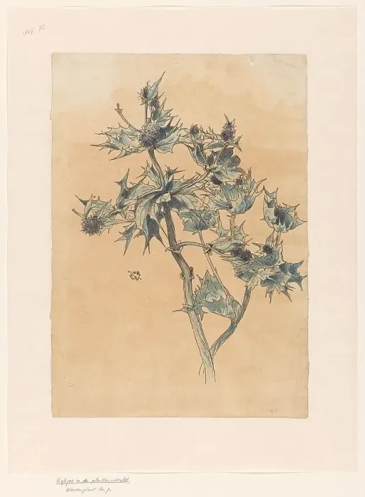 Framed Print : Thistles, in or before 1893. Creator: Willem Wenckebach Framed Print : Thistles, in or before 1893. Creator: Willem Wenckebach