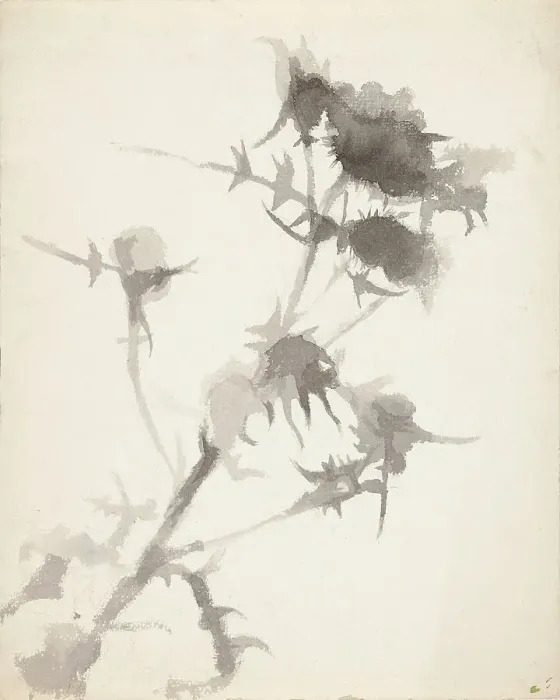 Framed Print : Thistles. Creator: Maria Wiik Framed Print : Thistles. Creator: Maria Wiik