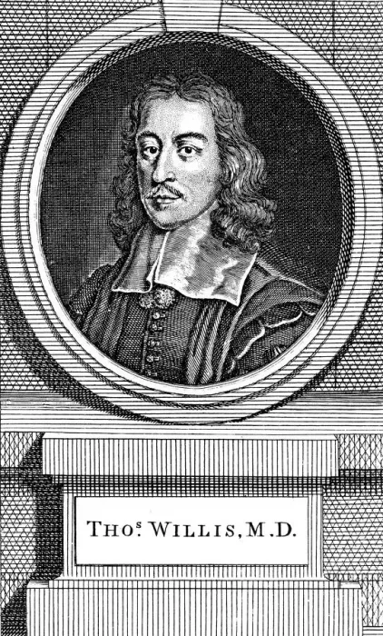 Framed Print : Thomas Willis, 17th century English physician, 1742. Artist: George Vertue Framed Print : Thomas Willis, 17th century English physician, 1742. Artist: George Vertue