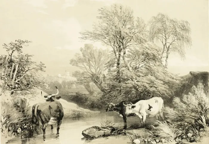 Framed Print : Thorn, Willow, Beech and Birch, from The Park and the Forest, 1841 Framed Print : Thorn, Willow, Beech and Birch, from The Park and the Forest, 1841