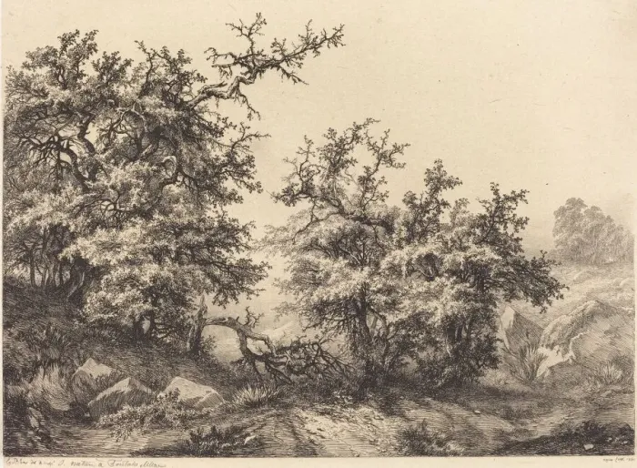 Framed Print : Thornbushes, 1840. Creator: Eugene Blery Framed Print : Thornbushes, 1840. Creator: Eugene Blery
