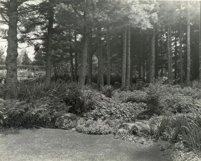 Framed Print : Thornewood, Chester Thorne house, Lakewood, Washington, 1923. Creator: Frances Benjamin Johnston. Thornewood, Chester Thorne house, Lakewood, Washington, 1923. Creator: Frances Benjamin Johnston Framed Print : Thornewood, Chester Thorne house, Lakewood, Washington, 1923. Creator: Frances Benjamin Johnston. Thornewood, Chester Thorne house, Lakewood, Washington, 1923. Creator: Frances Benjamin Johnston