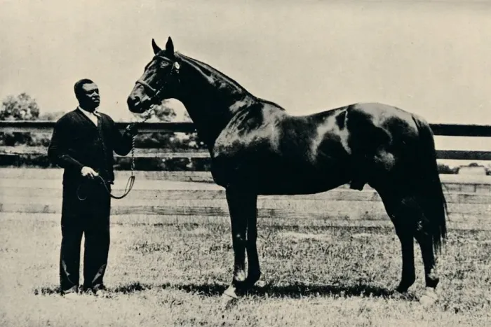 Framed Print : Thoroughbred racehorse, Man O War, c1920 Framed Print : Thoroughbred racehorse, Man O War, c1920