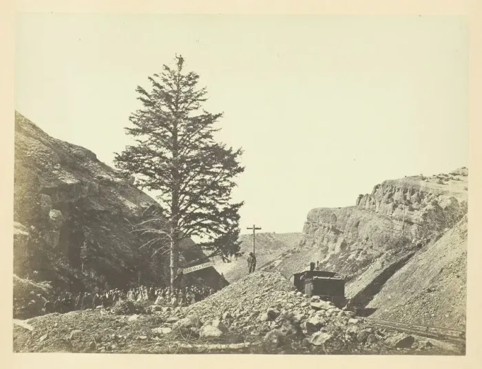 Framed Print : Thousand Mile Tree, Wilhelmina's Pass, 1868 / 69. Creator: Andrew Joseph Russell Framed Print : Thousand Mile Tree, Wilhelmina's Pass, 1868 / 69. Creator: Andrew Joseph Russell