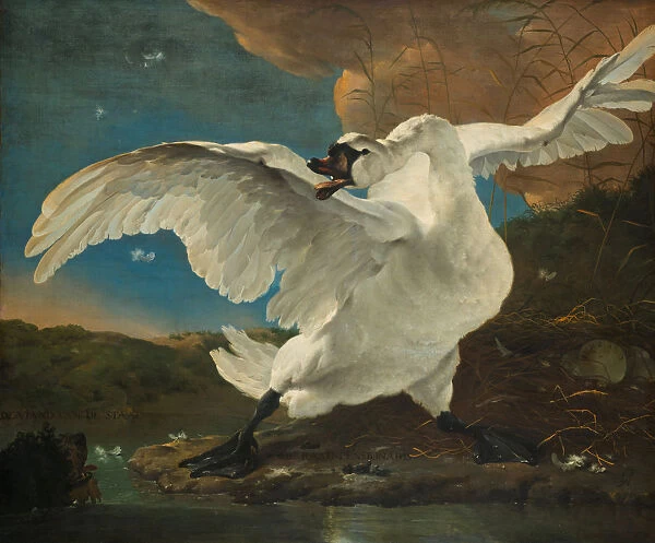 The Threatened Swan, before 1652. Artist: Asselijn, Jan (ca 1610-1652)