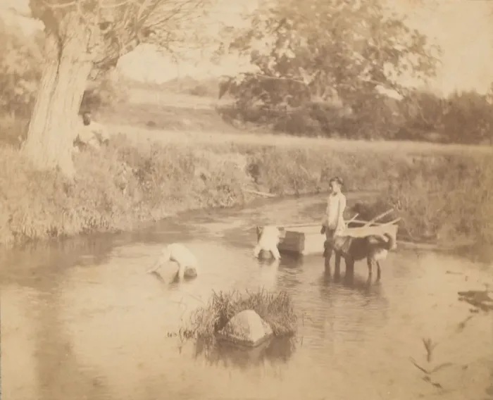 Framed Print : [Three Children and a Dog Playing in the Creek, July 4, 1883], 1883. 1883