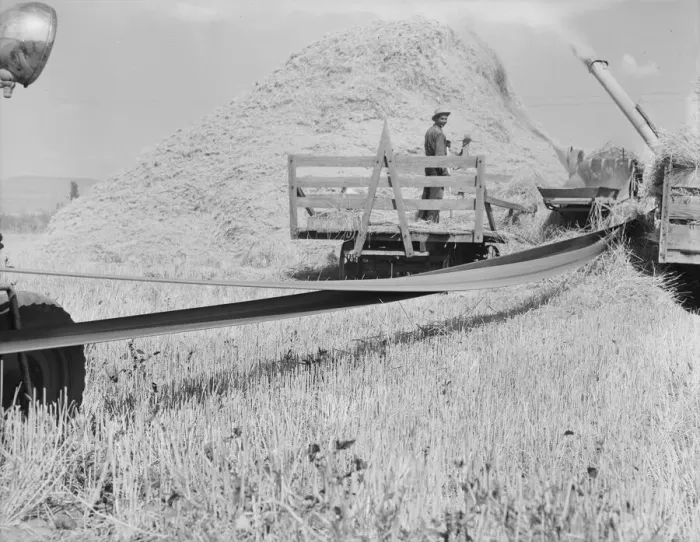 Framed Print : Threshing, midsummer noon, five miles west of Malin, Klamath County, Oregon, 1939. Creator: Dorothea Lange Framed Print : Threshing, midsummer noon, five miles west of Malin, Klamath County, Oregon, 1939. Creator: Dorothea Lange