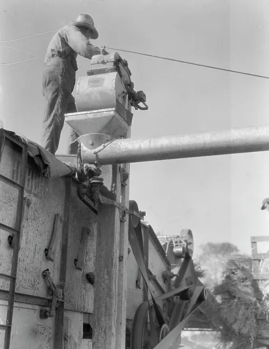 Framed Print : Threshing oats, Clayton, Indiana, 1936. Creator: Dorothea Lange Framed Print : Threshing oats, Clayton, Indiana, 1936. Creator: Dorothea Lange