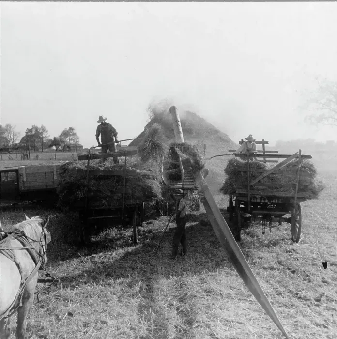 Framed Print : The threshing of oats, Clayton, Indiana, south of Indianapolis, 1936. Creator: Dorothea Lange Framed Print : The threshing of oats, Clayton, Indiana, south of Indianapolis, 1936. Creator: Dorothea Lange