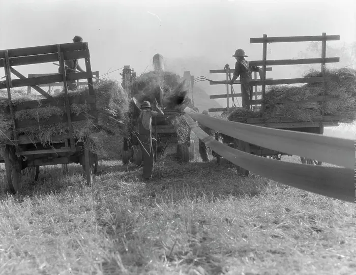 Framed Print : The threshing of oats, Clayton, Indiana, south of Indianapolis, 1936. Creator: Dorothea Lange Framed Print : The threshing of oats, Clayton, Indiana, south of Indianapolis, 1936. Creator: Dorothea Lange