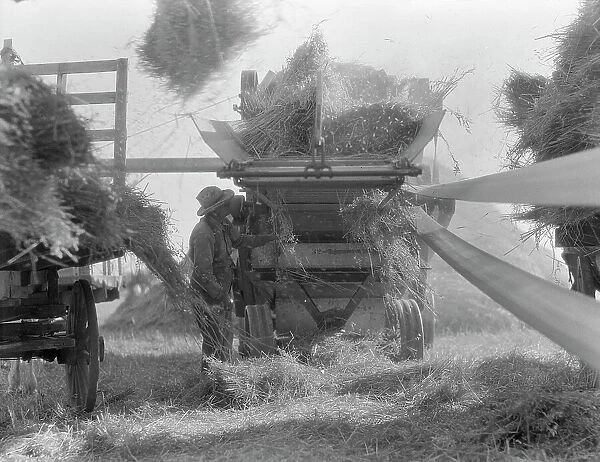 The threshing of oats, Clayton, Indiana, south of Indianapolis, 1936. Creator: Dorothea Lange
