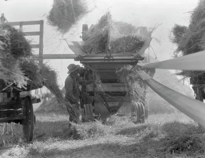 Framed Print : The threshing of oats, Clayton, Indiana, south of Indianapolis, 1936. Creator: Dorothea Lange Framed Print : The threshing of oats, Clayton, Indiana, south of Indianapolis, 1936. Creator: Dorothea Lange