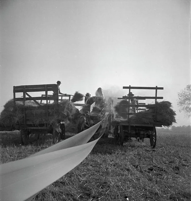 Framed Print : The threshing of oats, Clayton, Indiana, south of Indianapolis, 1936 Creator: Dorothea Lange