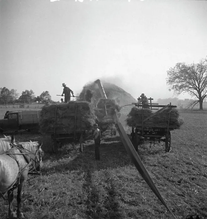 Framed Print : The threshing of oats, Clayton, Indiana, south of Indianapolis, 1936 Creator: Dorothea Lange Framed Print : The threshing of oats, Clayton, Indiana, south of Indianapolis, 1936 Creator: Dorothea Lange