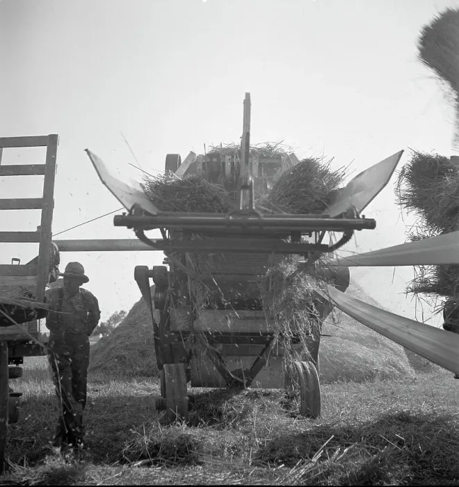 Framed Print : The threshing of oats, Clayton, Indiana, south of Indianapolis, 1936 Creator: Dorothea Lange Framed Print : The threshing of oats, Clayton, Indiana, south of Indianapolis, 1936 Creator: Dorothea Lange