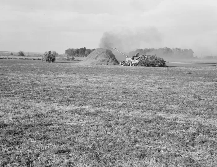 Framed Print : Threshing red clover for seed on older settlers ranch, near Ontario, Oregon, 1939. Creator: Dorothea Lange Framed Print : Threshing red clover for seed on older settlers ranch, near Ontario, Oregon, 1939. Creator: Dorothea Lange