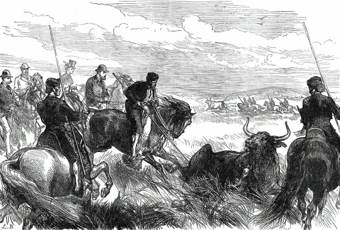 Framed Print : Throwing Bulls at Seville before the Prince of Wales, from a sketch by our special artist, 1876. Creator: L.B Framed Print : Throwing Bulls at Seville before the Prince of Wales, from a sketch by our special artist, 1876. Creator: L.B