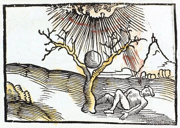 Thunderbolt or lightning, 1508