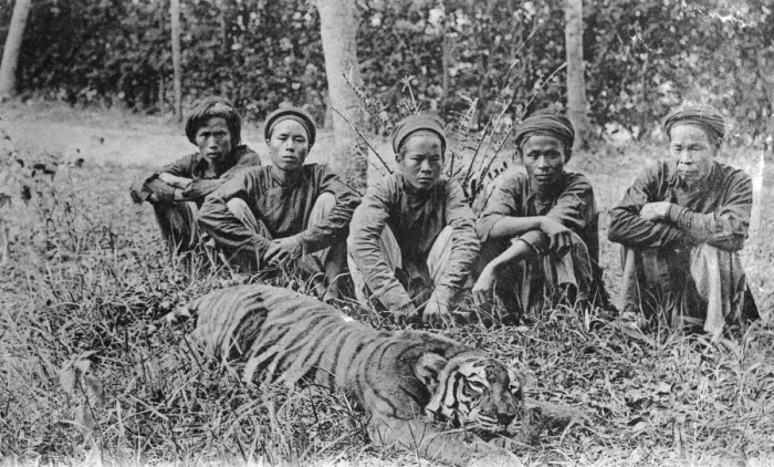 Framed Print : Tiger hunters, Tonkin, Vietnam, 20th century(?) Framed Print : Tiger hunters, Tonkin, Vietnam, 20th century(?)